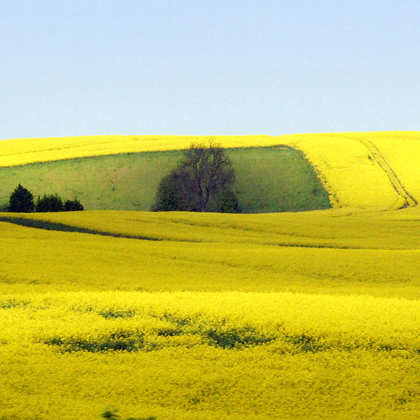 Landschaftsbild