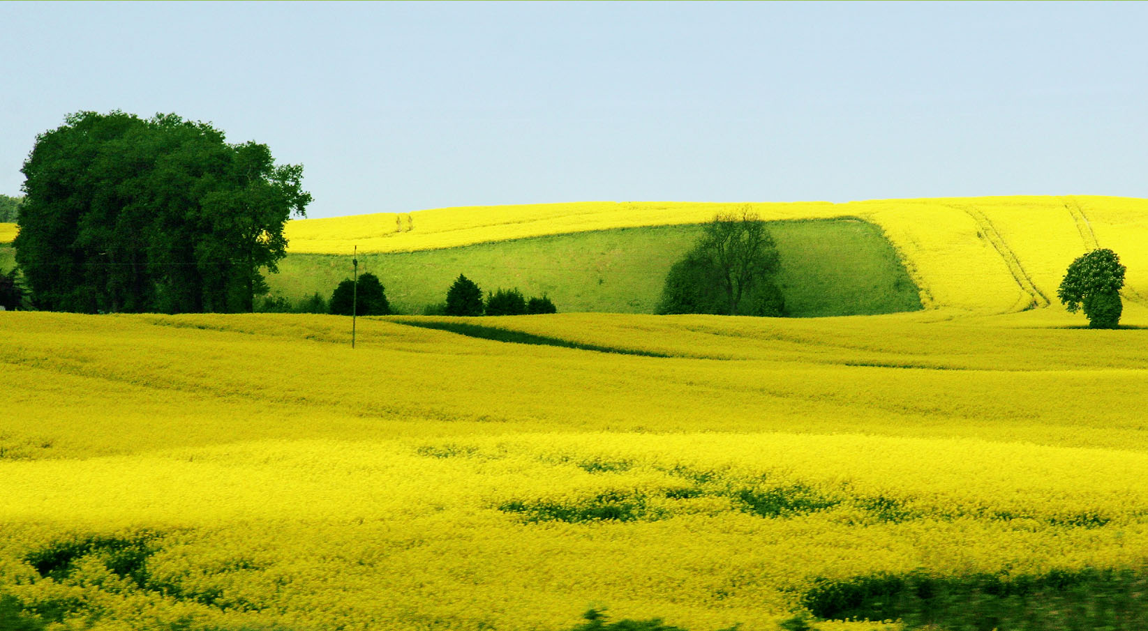 Landschaftsbild von Sabine Hanns